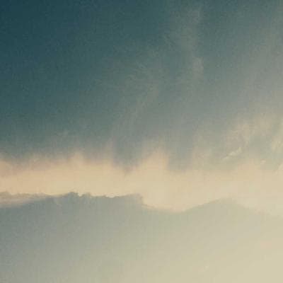 Weber Herb Seed Kit 82 Varieties - Variant 6