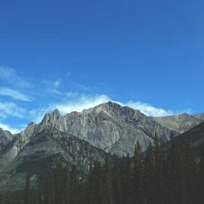 Husqvarna Herb Seed Kit 34 Varieties - Variant 8