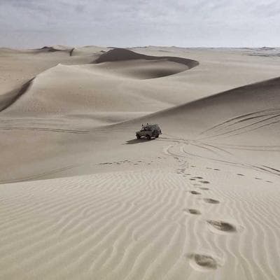 Black+Decker Hammock Cotton Double - Variant 12