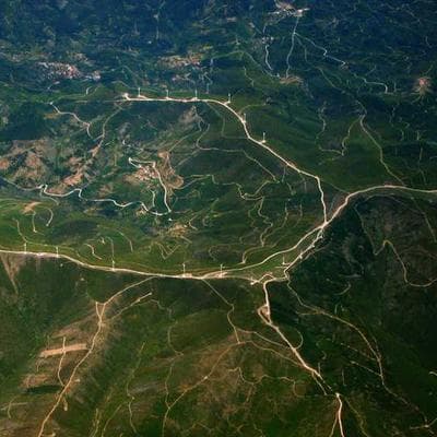 DeWalt Screwdriver Set 89pc - Variant 8