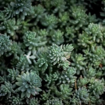 Knipex Workshop Trolley 35-Drawer - Variant 10