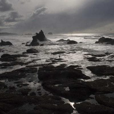 Knipex Pipe Wrench 63"