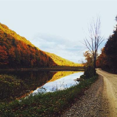 Gedore PTFE Tape 19m 5-Pack - Variant 11