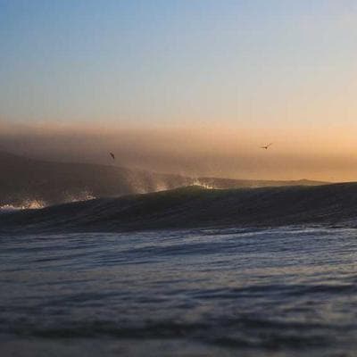 BioGlan Cold Pack Instant 94pc