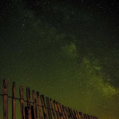 Nature Made Neck Massager Shiatsu - Variant 5