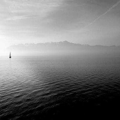 Bose Vivobook 30 OLED