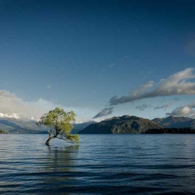 BioGlan White Noise Machine - Variant 7