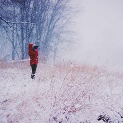 Blackmores Blue Light Glasses