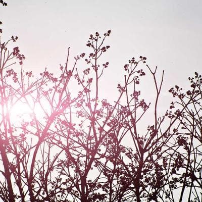 Beurer Eye Drops Lubricant 61ml - Variant 11