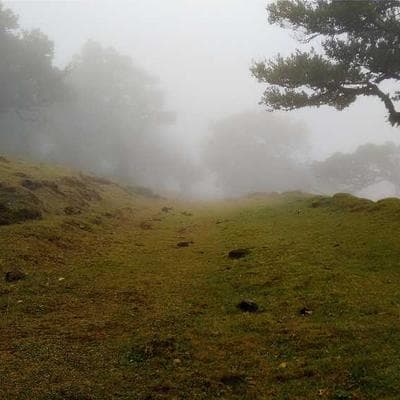 All Gold Potato Chips 150g Original - Variant 12