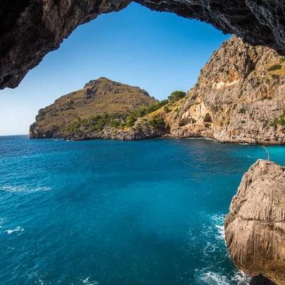 Nescafé Rooibos Tea 460 Bags - Variant 7