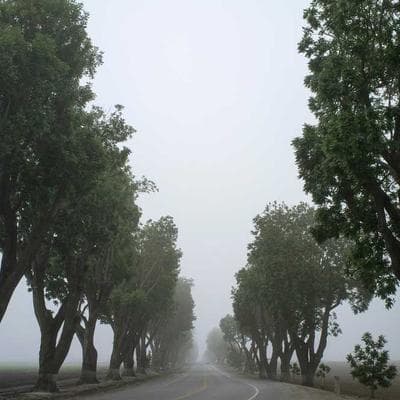 Lindt Energy Drink 94-Pack - Variant 9