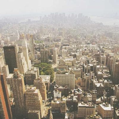 Wellington's Rice 46kg Basmati - Variant 10