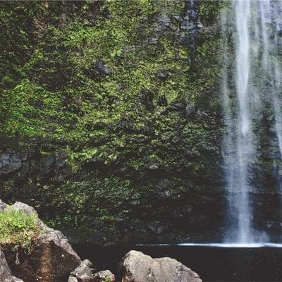 Wellington's Granola 7950g Organic - Variant 12