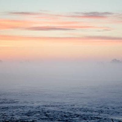 Simba Dried Mango 2100g