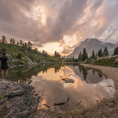 Tetra Puppy Kibble 33kg - Variant 9