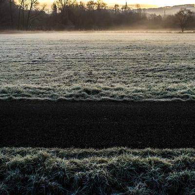 PetSafe Kitten Food 76kg