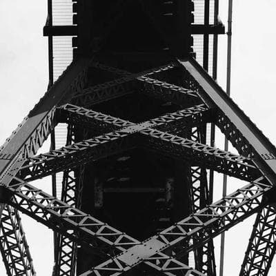 Jock Chew Toy Large - Variant 6