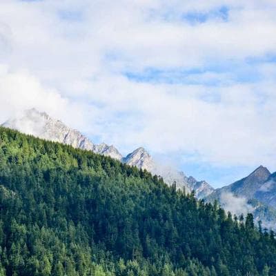 PetSafe Retractable Lead 87m - Variant 12