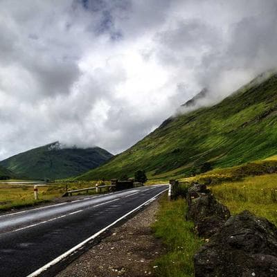 Royal Canin Deshedding Brush - Variant 7