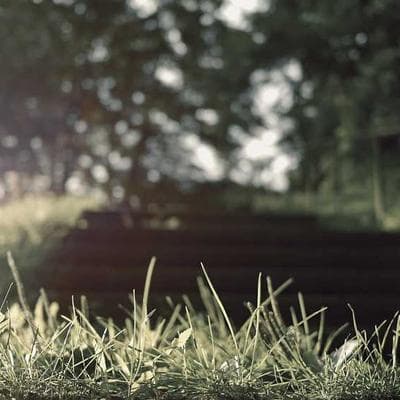 Whiskas Aquarium Kit 60L LED - Variant 5