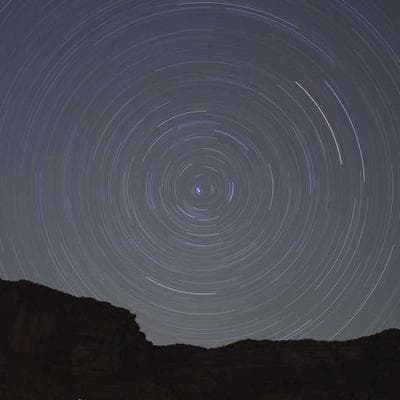 Montego Flea & Tick Treatment 3pk - Variant 9