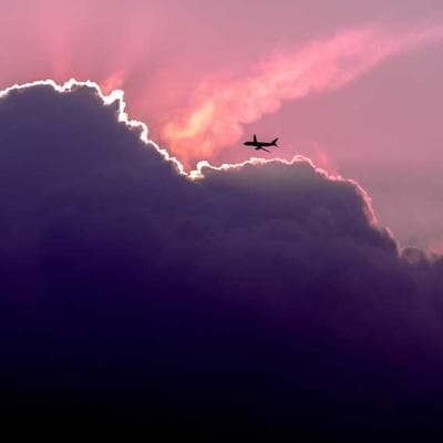 Pedigree Dog Raincoat 34cm - Variant 8