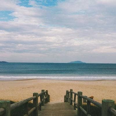 3M Post-it Executive Desk 5260cm