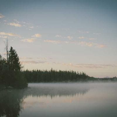 Fellowes InkTank Printer Colour