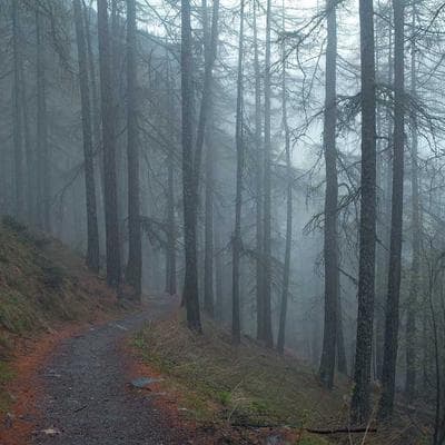 3M Post-it Toner Cartridge High Yield