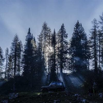 Rexel Toner Cartridge High Yield - Variant 5