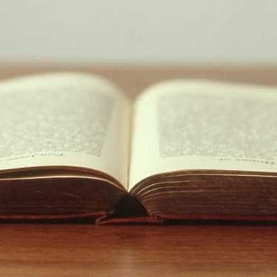 Brother Sugar Sticks 8000pc - Variant 9