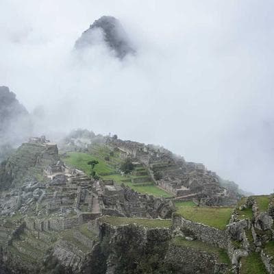 Parrot UPS Battery Backup 2450VA - Variant 5