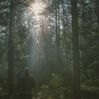 Bosch Freestanding Dishwasher 192 Place