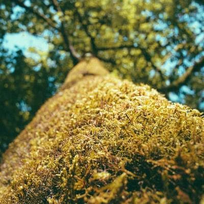 AEG Grill Microwave 265L - Variant 13