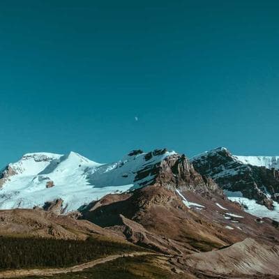 Whirlpool Tower Fan 1cm Remote - Variant 8