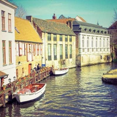 Bosch Ceiling Fan 452cm 3-Blade - Variant 12