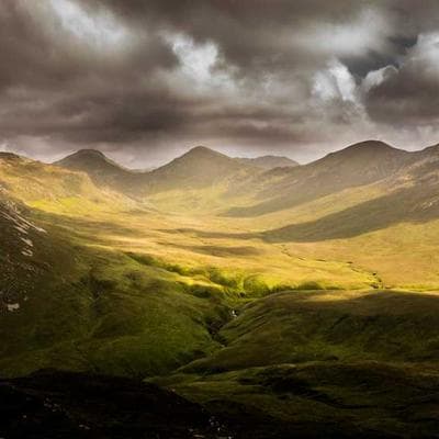 AEG Food Processor 31-Cup 3100W - Variant 8