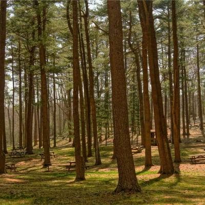 Rochester Media Console 7150cm - Variant 12