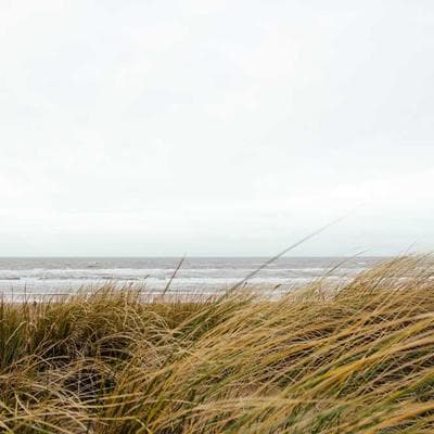 Michael Kors Pendant Necklace Silver