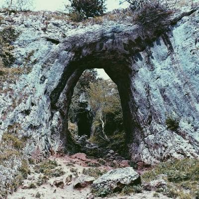 Pandora Pendant Necklace Silver - Variant 11