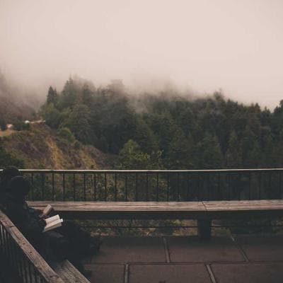 Fossil Bangle Set 23pc - Variant 9