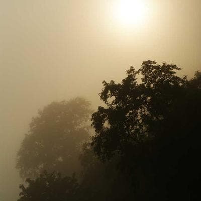 Citizen Hoop Earrings Gold - Variant 7