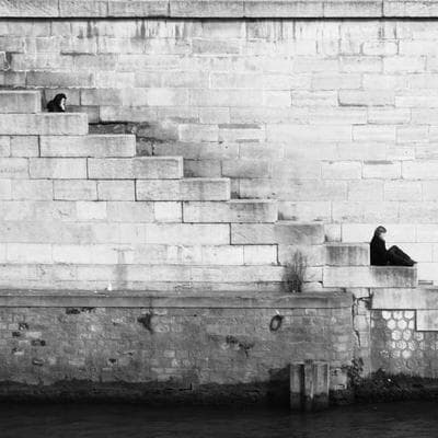 Michael Kors Stud Earrings Crystal - Variant 9