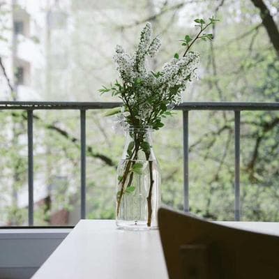 Michael Kors Pearl Earrings Freshwater