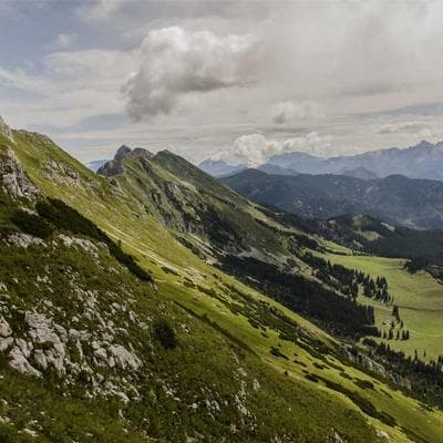 Swatch Pearl Earrings Freshwater - Variant 11