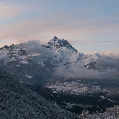 Casio Geometric Earrings