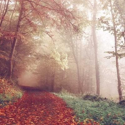 Pandora Statement Necklace Bohemian - Variant 5