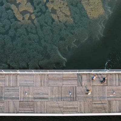 Shure Condenser Microphone XLR - Variant 6