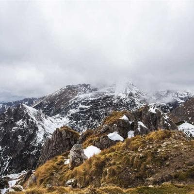 Behringer Pop Filter 15"